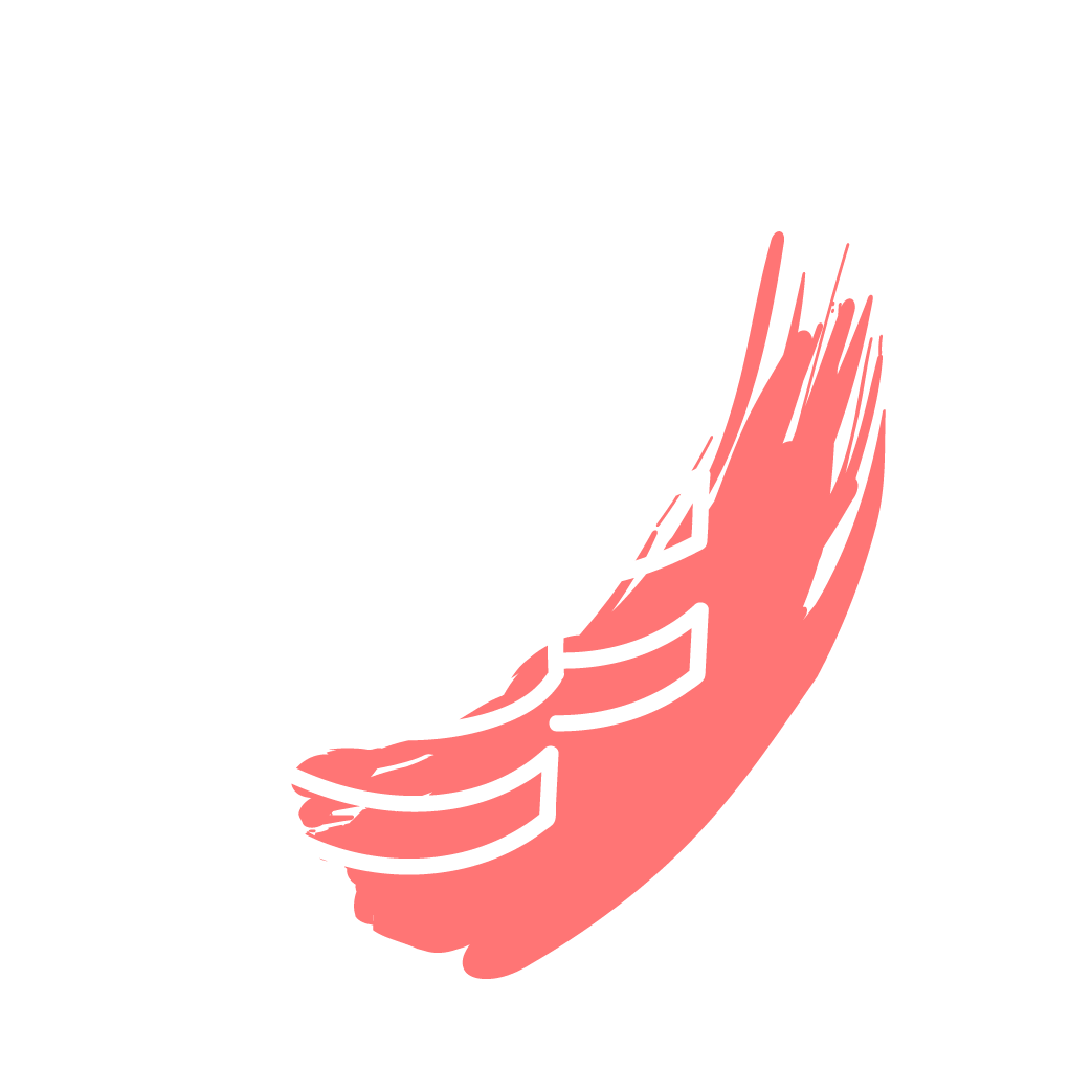 icon-17