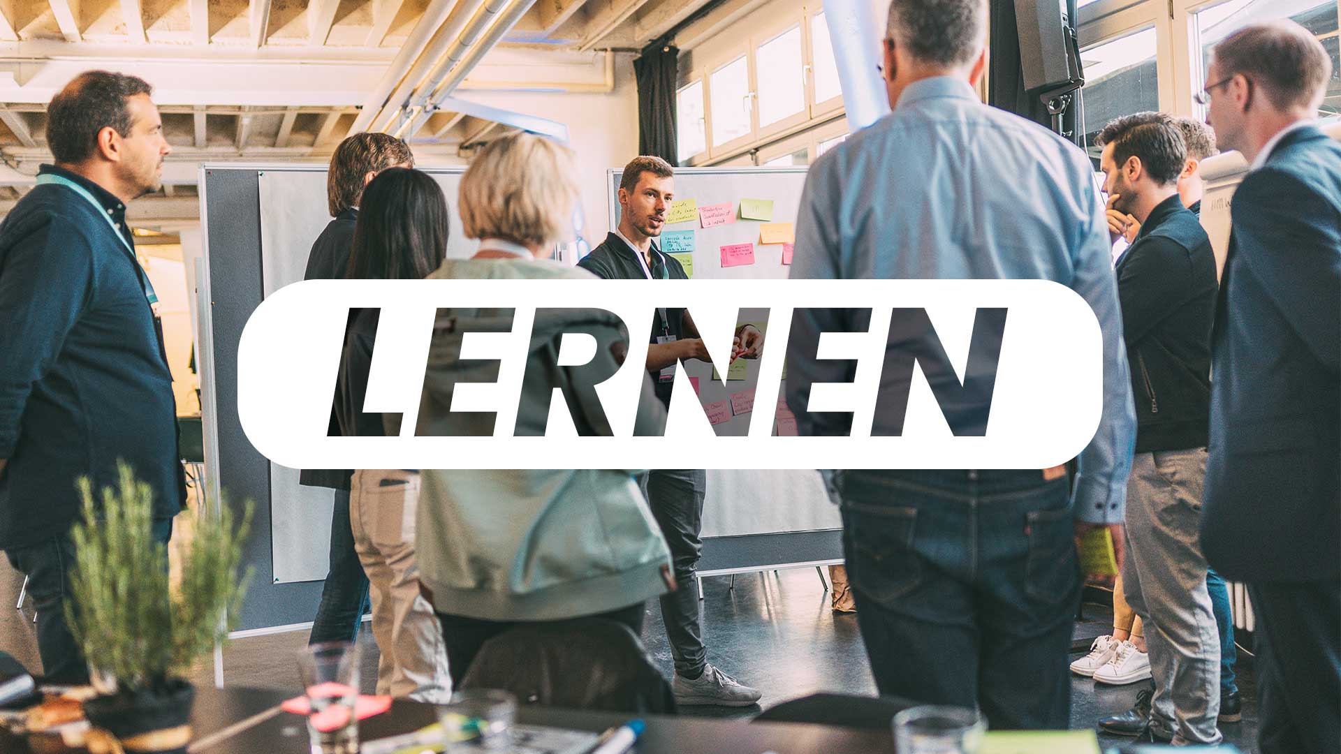 IHSTR-Impact-Academy-Lernen