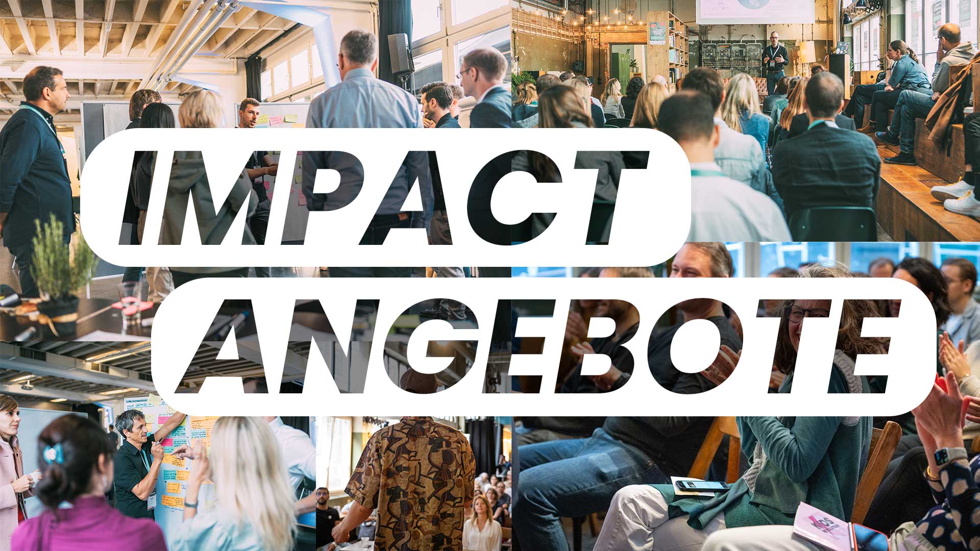 IHSTR-Impact-Angebote-Banner